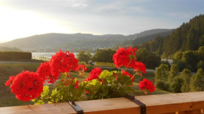 Gérardmer : appartement 43m2, classé 3*, vue lac